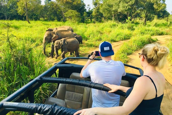 Jeep Safari