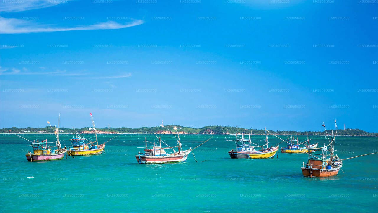 Negombo Lagoon