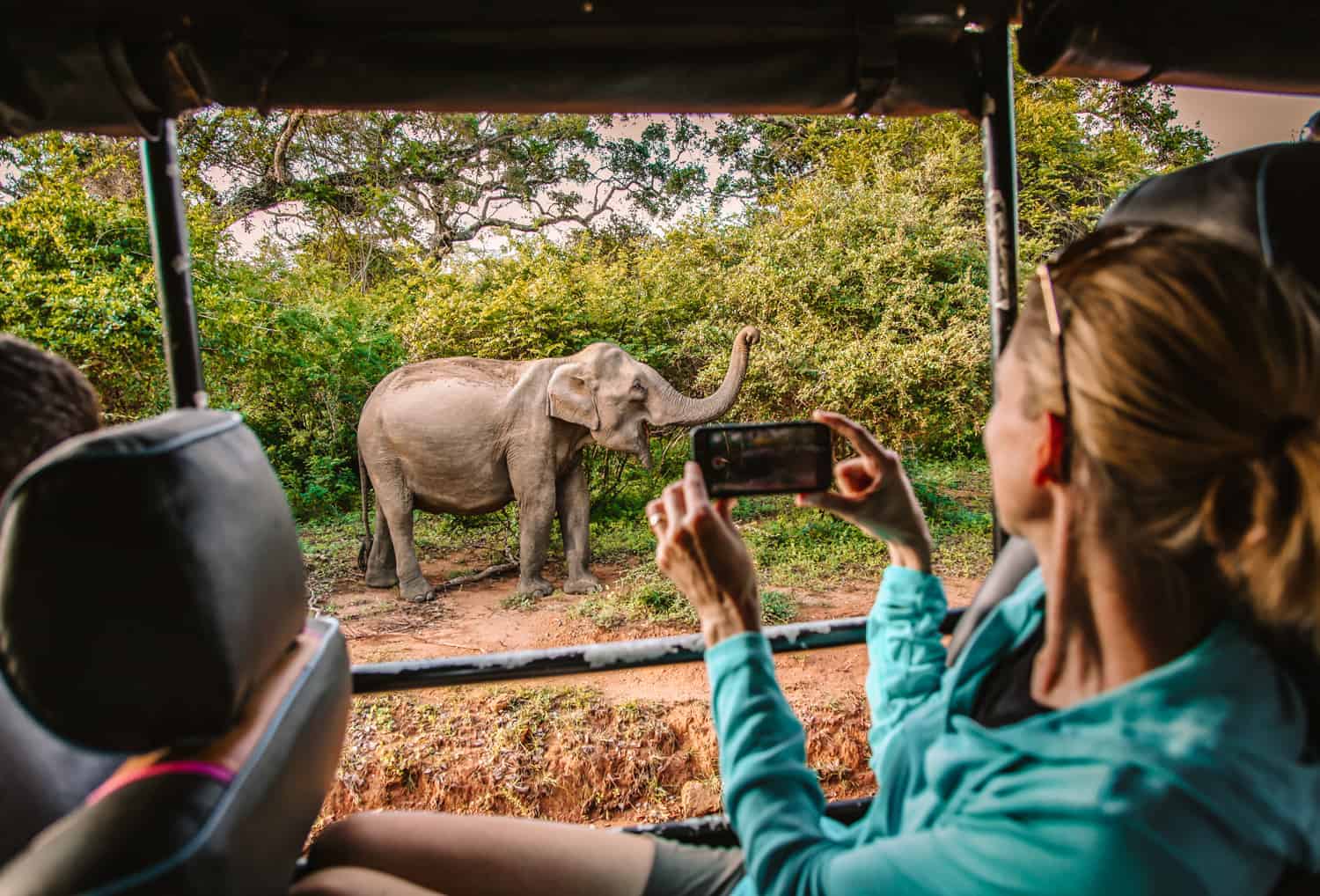 Yala National Park