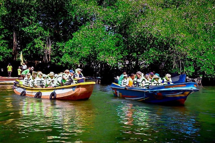 Boat Safari at Balapitiya