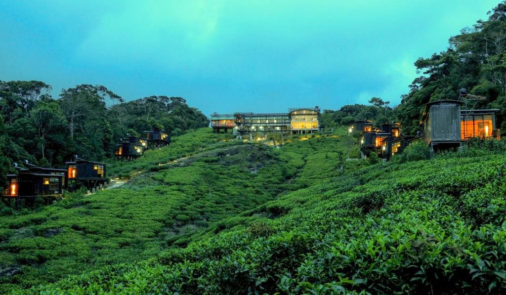 Rainforest Eco Lodge 