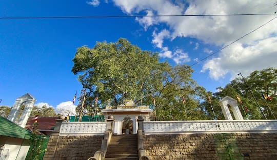 Jaya Sri Maha Bodhi