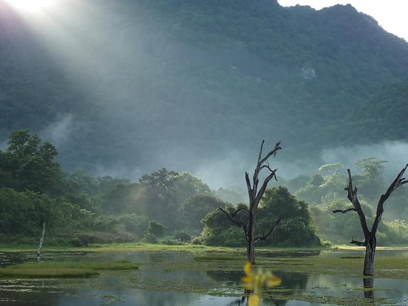 The Lake