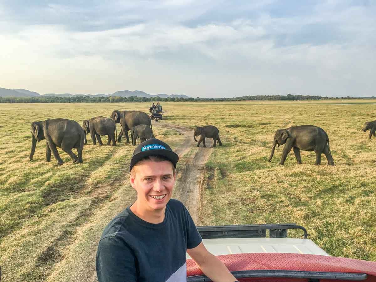 Elephant Safari