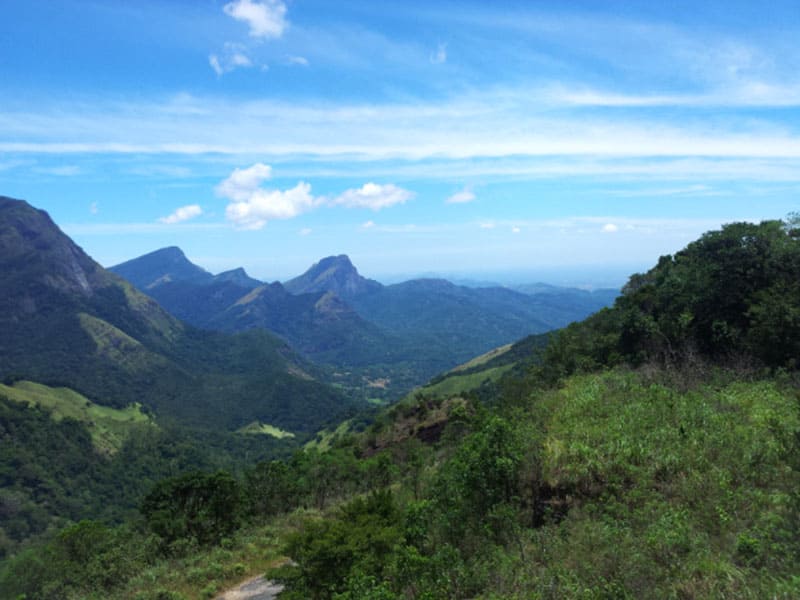 Knuckles Mountain Range