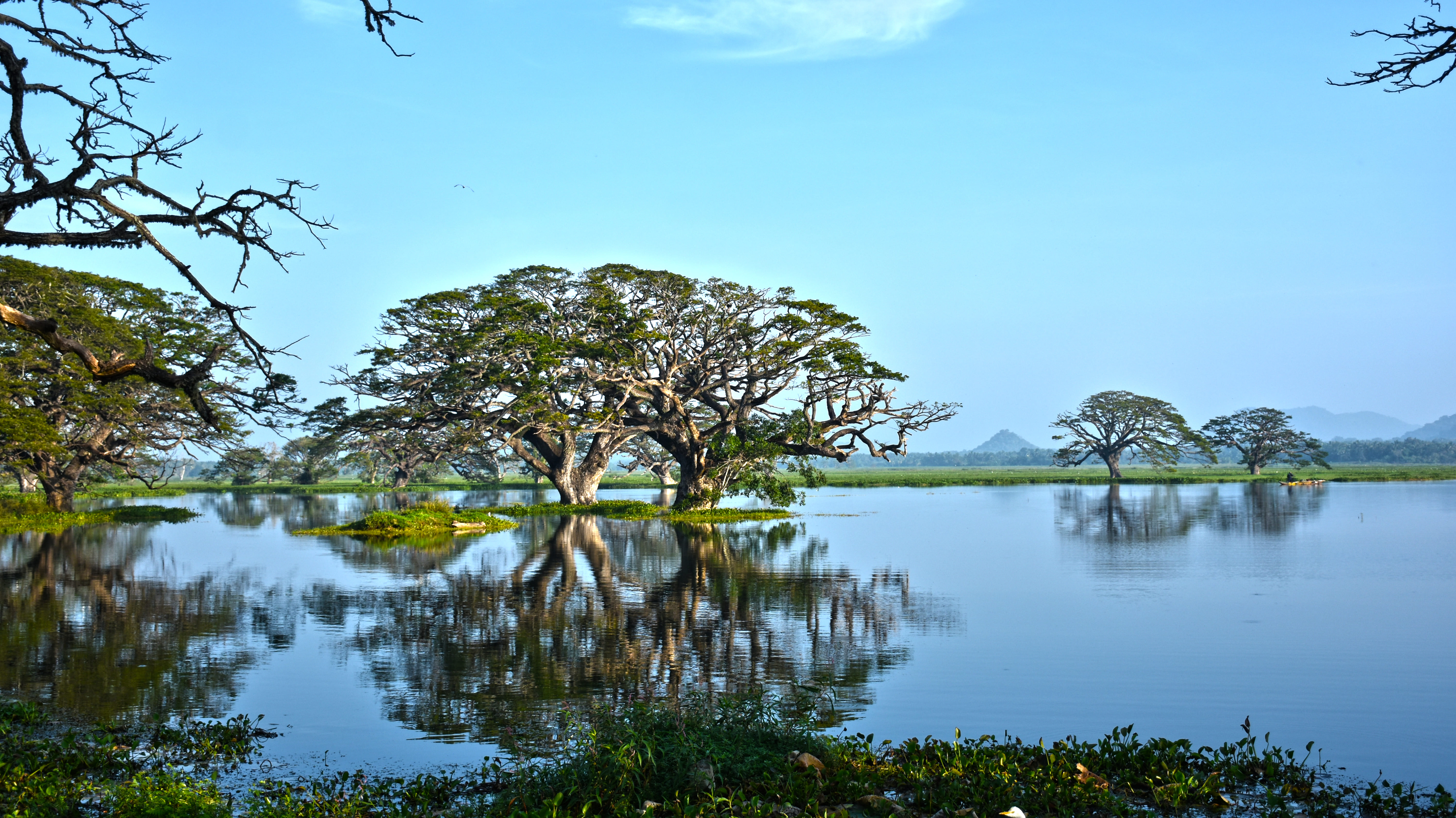 Thissa Lake