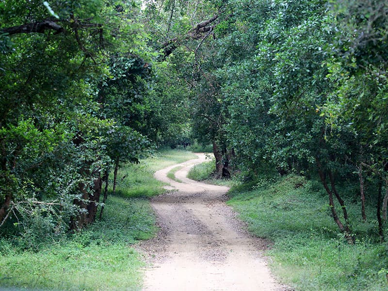 Kumana National Park