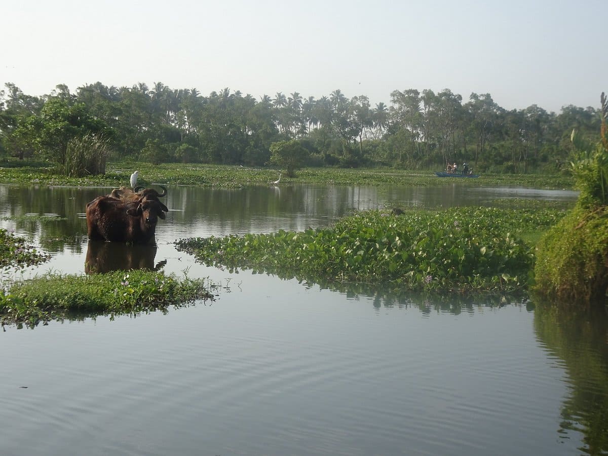 Bird Watching Tangalle