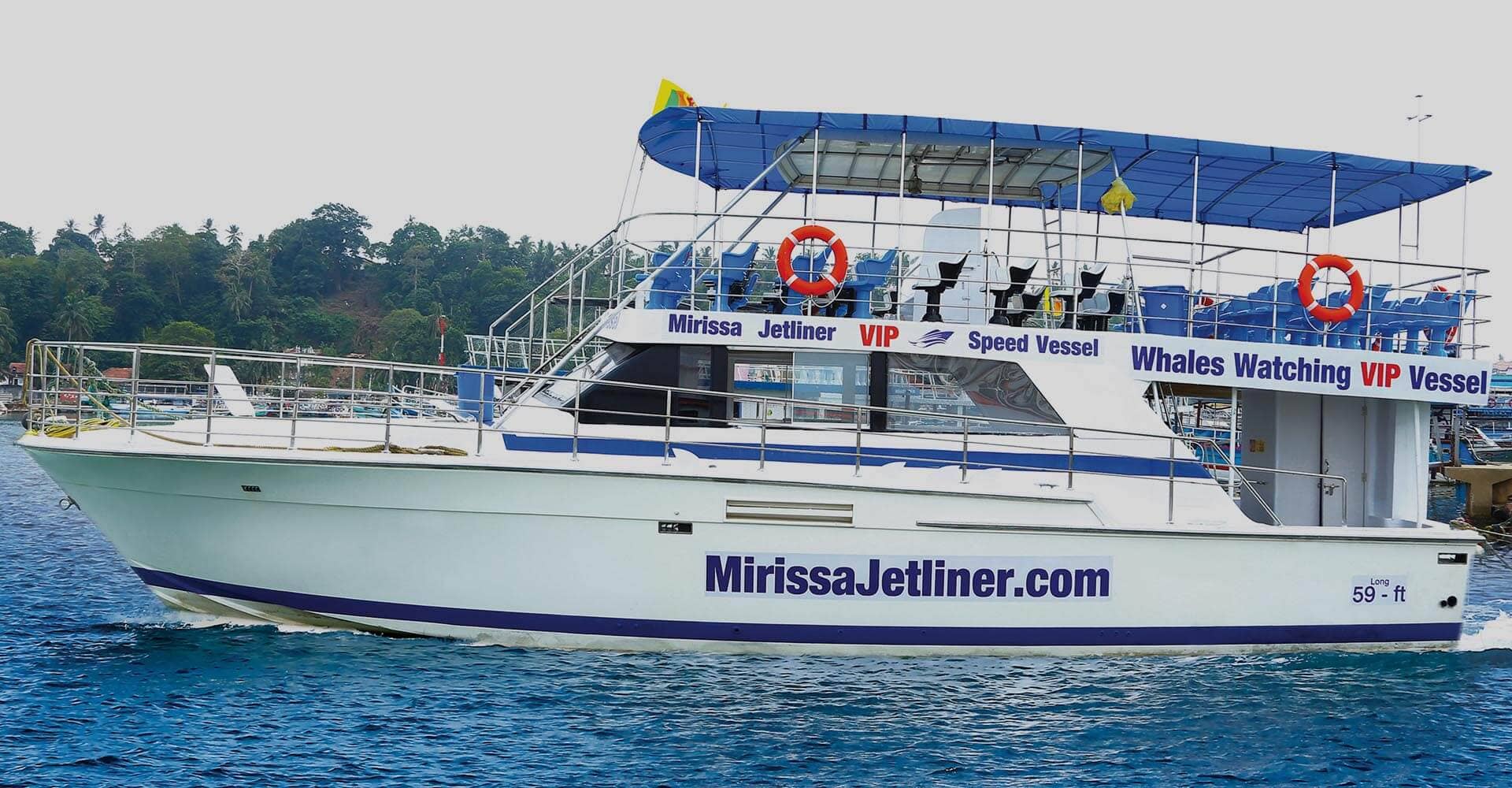 Whale Watching Mirissa