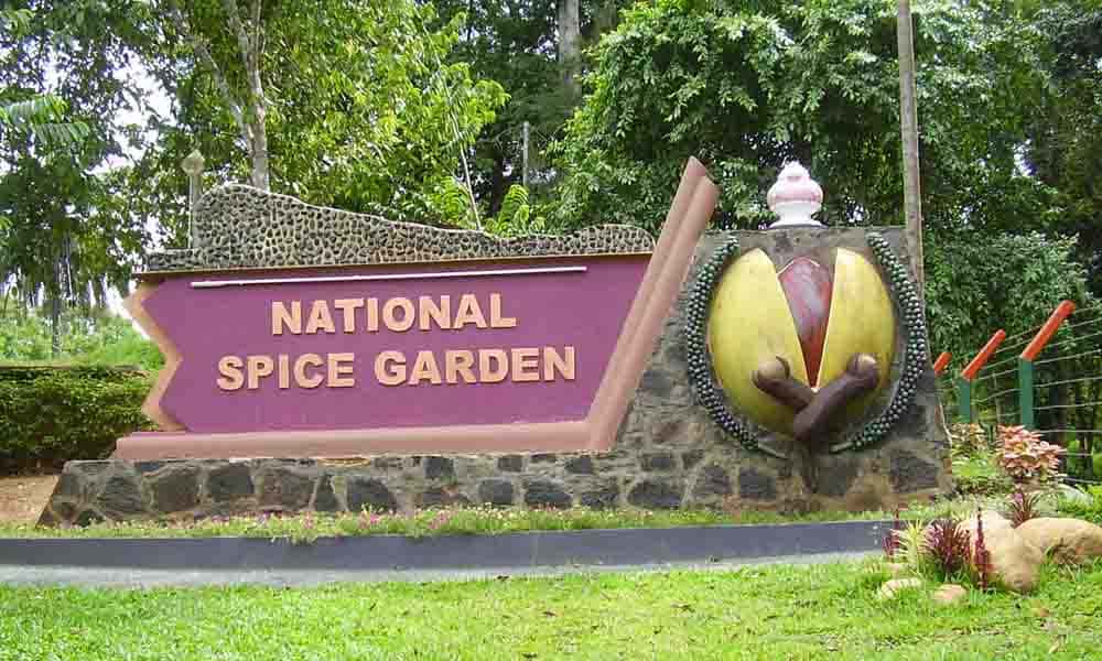 Matale Spice Garden