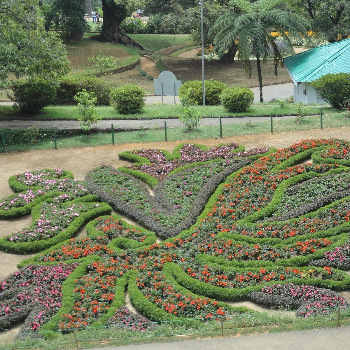 Hakgala Botanic Gardens