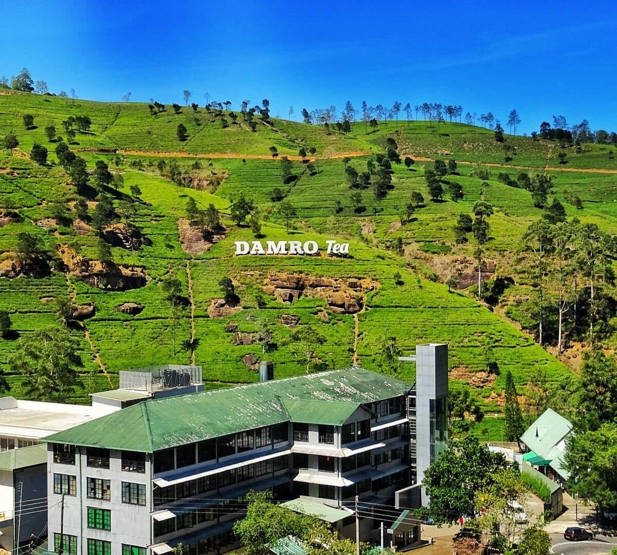 Dambro Labukale Tea Center