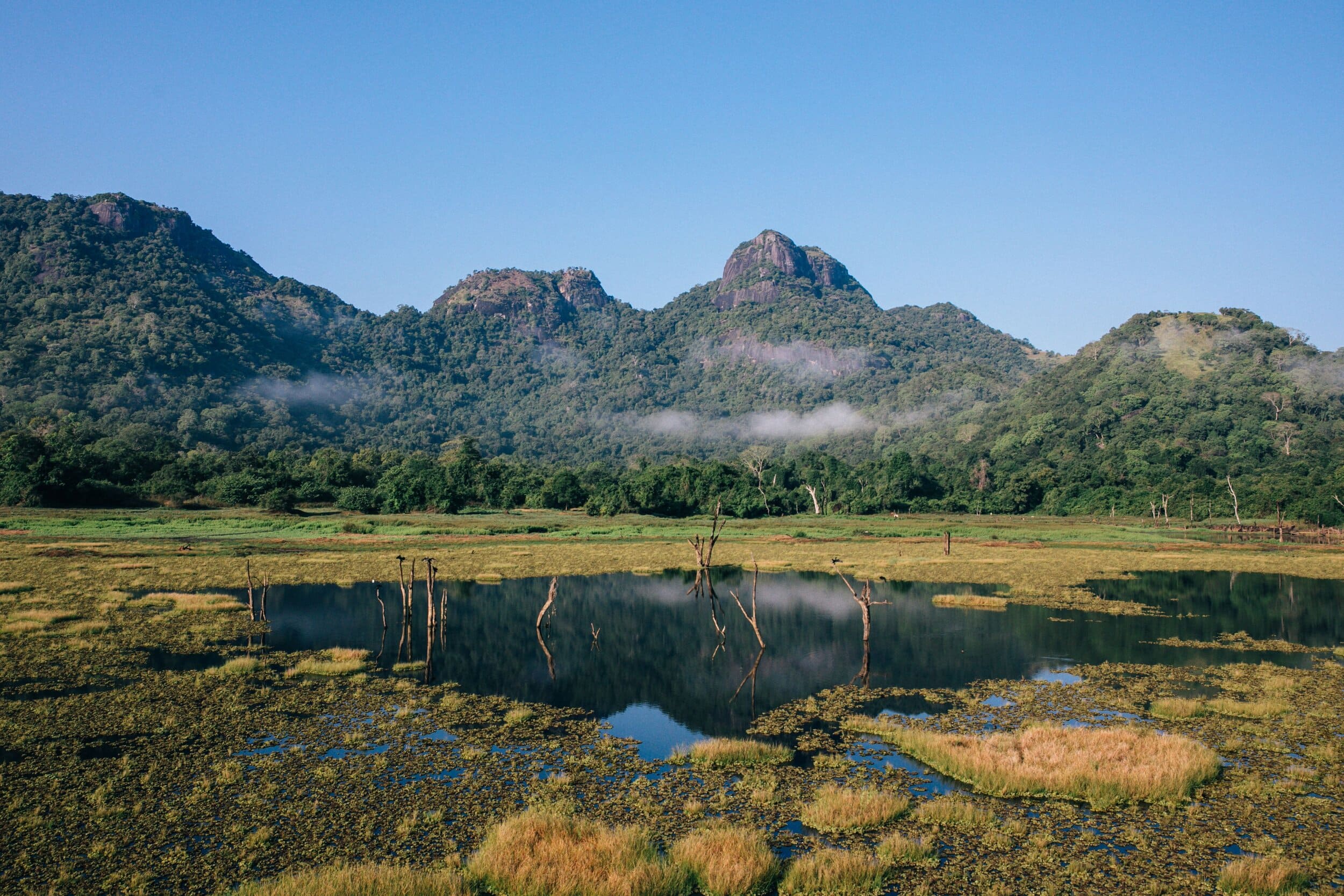 Gal oya National park