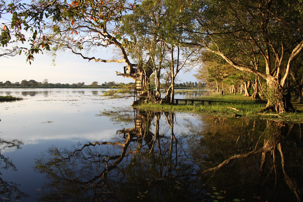 Kaudulla Lake