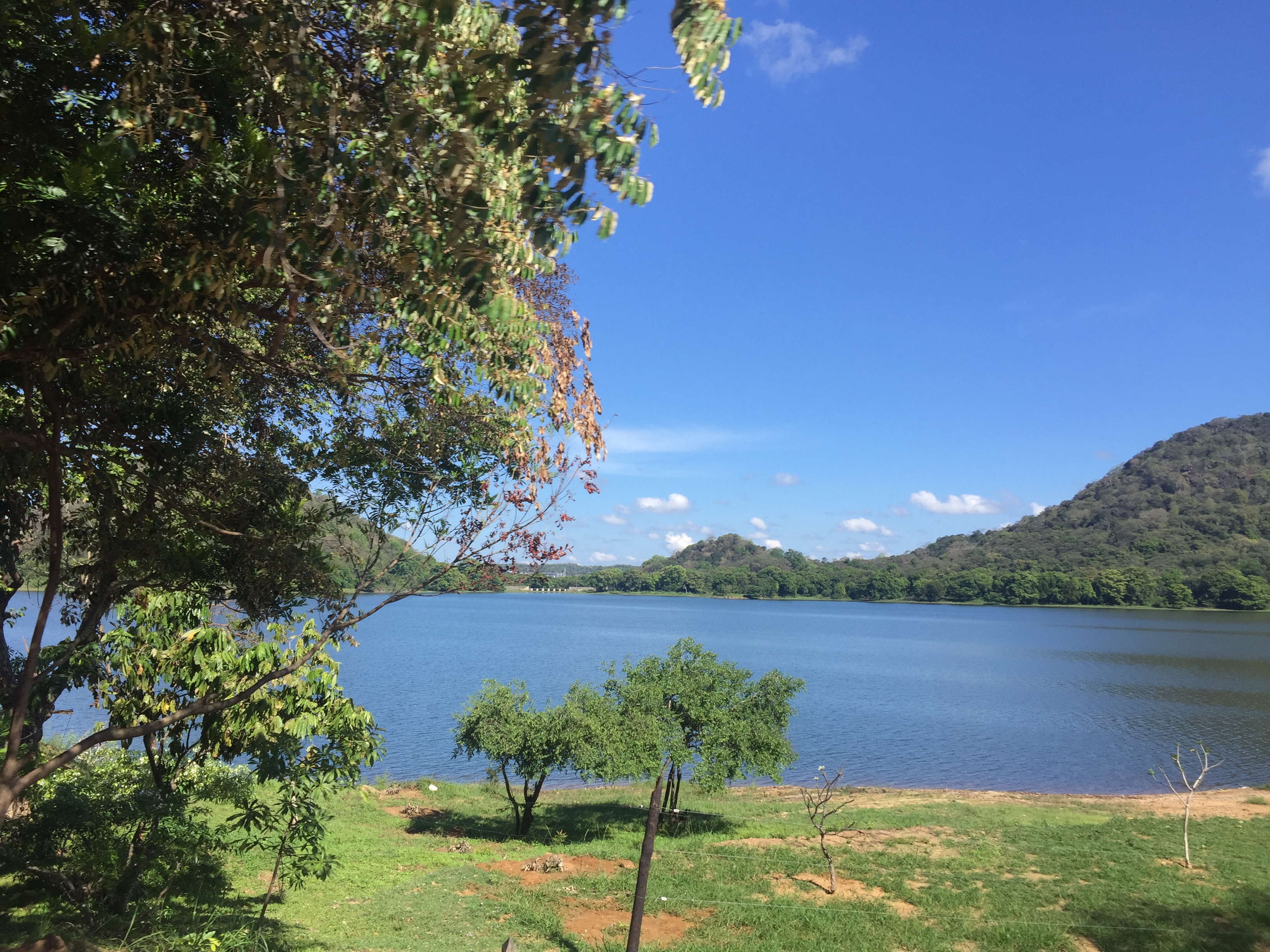 Lake Side View