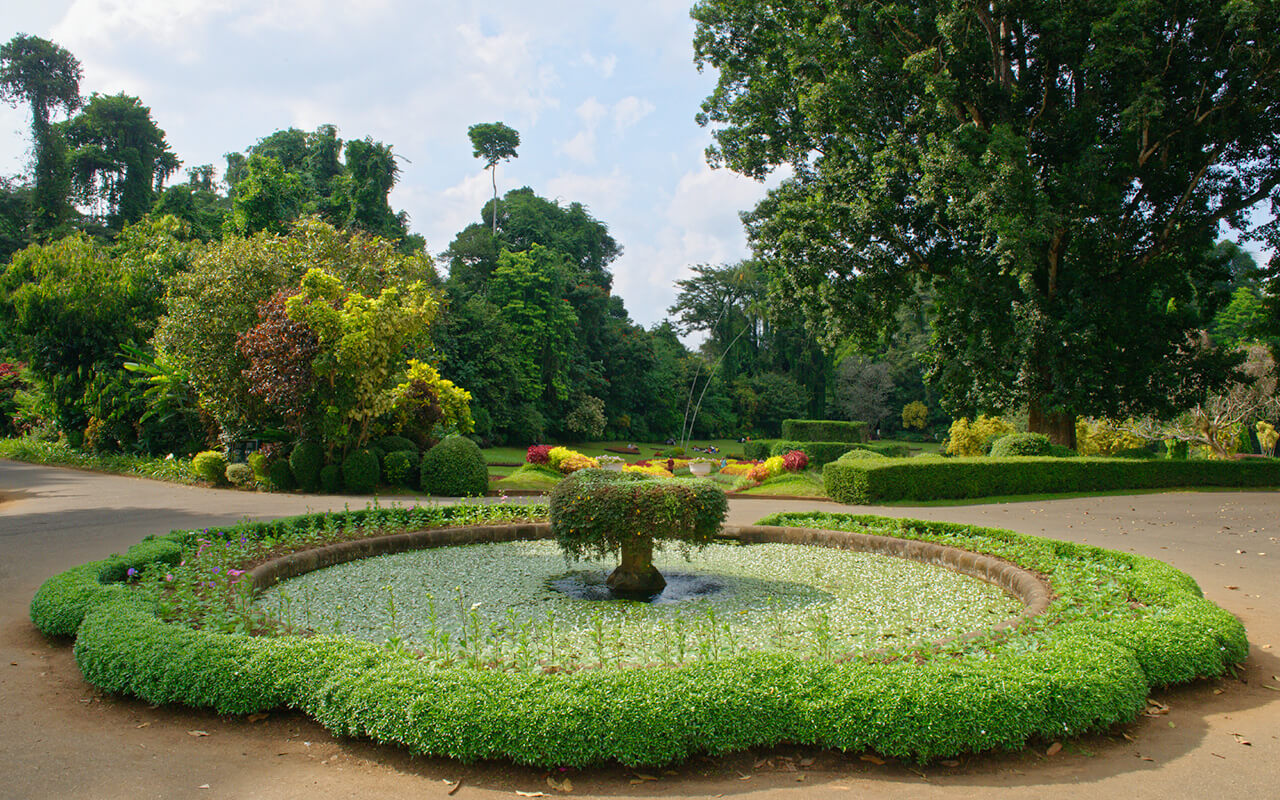 Peradeniya Botanical Gardens