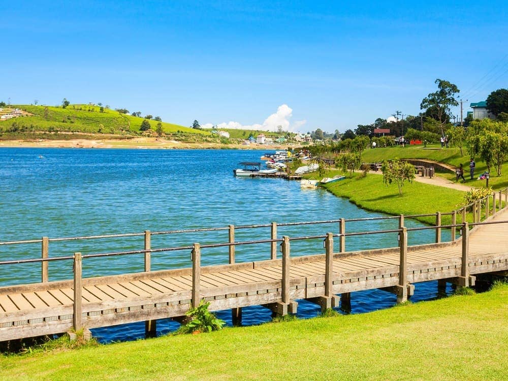 Gregory Lake