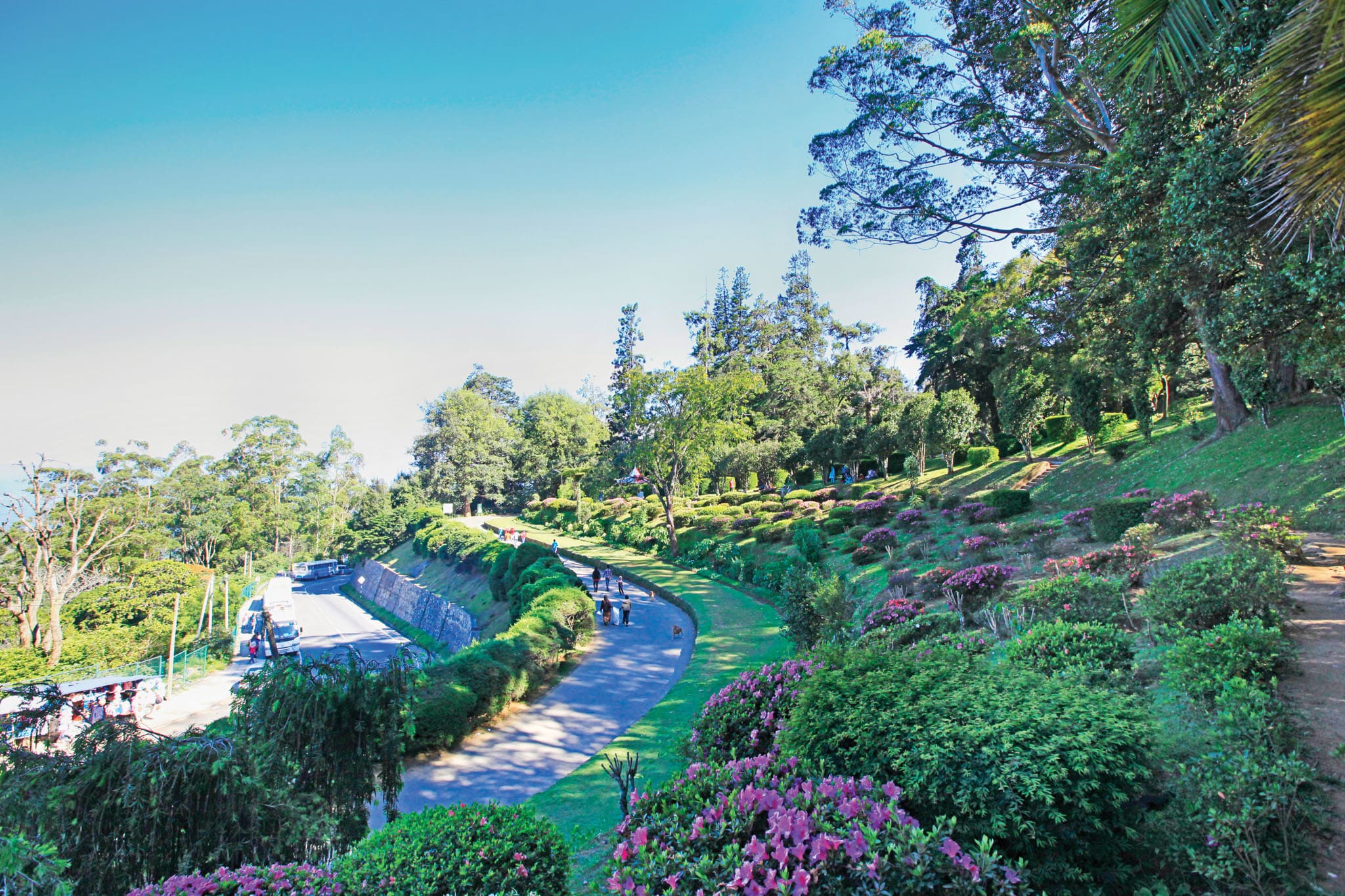 Haggala Botanical Garden