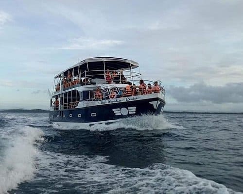 Kosgoda Boat Rides