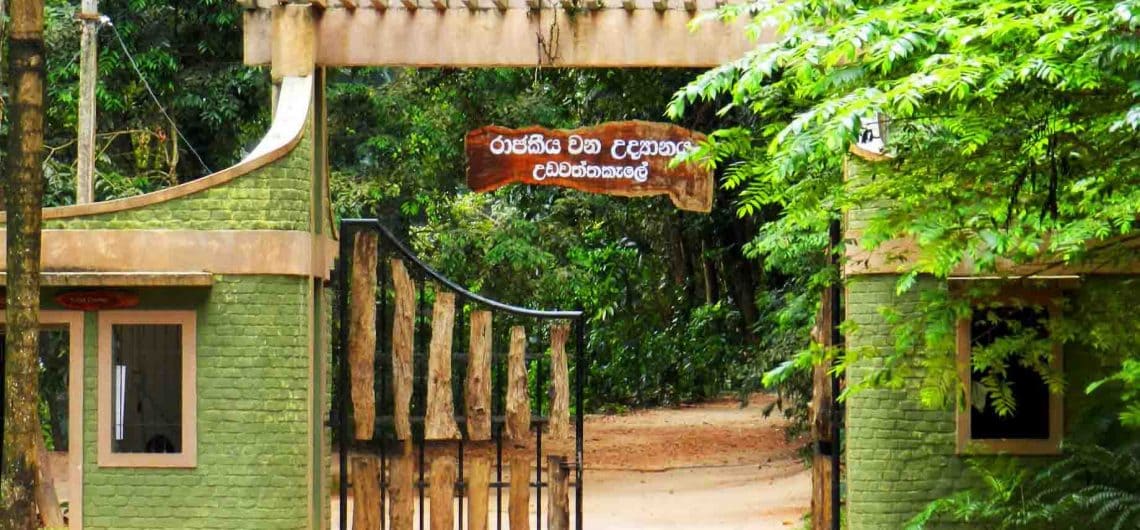 Udawattakele Sanctuary