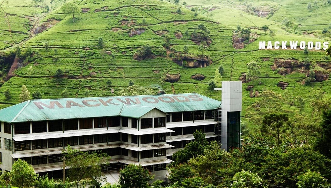 Mackwood Tea Factory