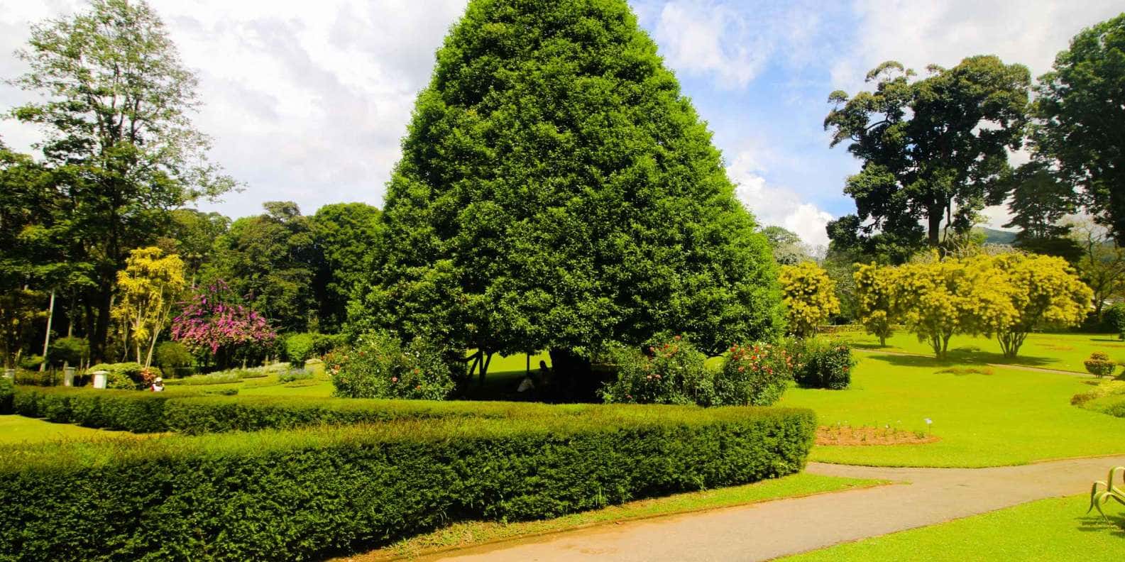 Royal Botanic Garden