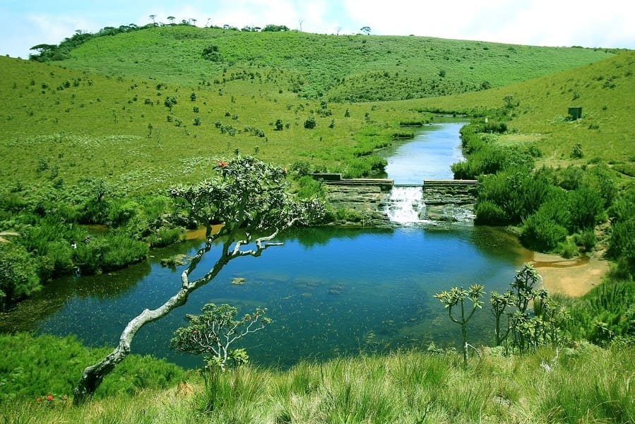 Lake in Horton Plains