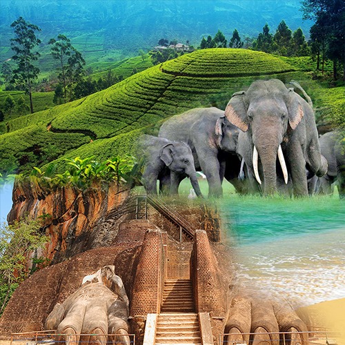 Sri lanka