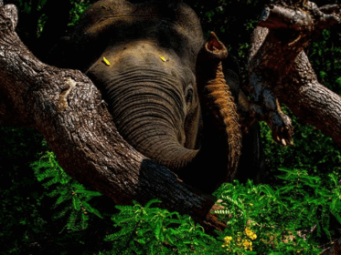 9 Days Tour packages